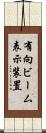 有向ビーム表示装置 Scroll