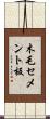 木毛セメント板 Scroll