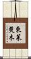 東茱萸木 Scroll