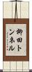 柳田トンネル Scroll