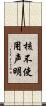核不使用声明 Scroll