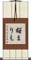 桜まりえ Scroll