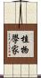 植物學家 Scroll