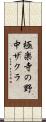 極楽寺の野中ザクラ Scroll