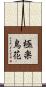 極楽鳥花 Scroll