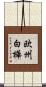 欧州白樺 Scroll