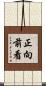 正向前看 Scroll