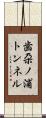歯朶ノ浦トンネル Scroll