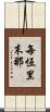每恆里末那 Scroll