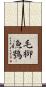 毛腳漁鴞 Scroll