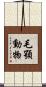 毛顎動物 Scroll