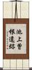 池上曽根遺跡 Scroll