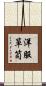 洋服箪笥 Scroll