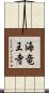 海竜王寺 Scroll