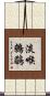 淡喉鷯鶥 Scroll