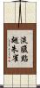 淡腹點翅朱雀 Scroll