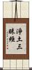 淨土三昧經 Scroll