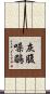 灰腹噪鶥 Scroll