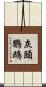 灰頭鸚鵡 Scroll