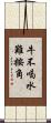 牛不喝水難按角 Scroll