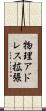 物理アドレス拡張 Scroll