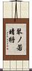 琴ノ若晴將 Scroll