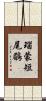 瑙蒙短尾鶥 Scroll