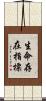 生命存在指標 Scroll