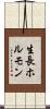 生長ホルモン Scroll