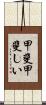 甲斐甲斐しい Scroll