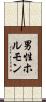 男性ホルモン Scroll