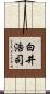 白井浩司 Scroll