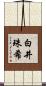 白井珠希 Scroll