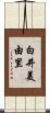 白井美由里 Scroll