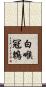 白喉冠鵯 Scroll