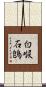 白喉石鵖 Scroll