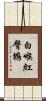 白喉紅臀鵯 Scroll
