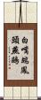 白嘴端鳳頭燕鷗 Scroll