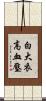 白大衣高血壓 Scroll