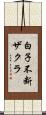 白子不断ザクラ Scroll