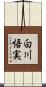 白川悟実 Scroll