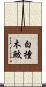 白撞木鮫 Scroll