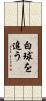 白球を追う Scroll