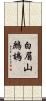 白眉山鷓鴣 Scroll