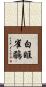 白眶雀鶥 Scroll