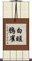 白眶鴉雀 Scroll