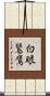 白眼鵟鷹 Scroll