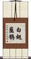 白翅藍鵲 Scroll
