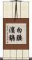 白腰濱鷸 Scroll