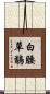 白腰草鷸 Scroll